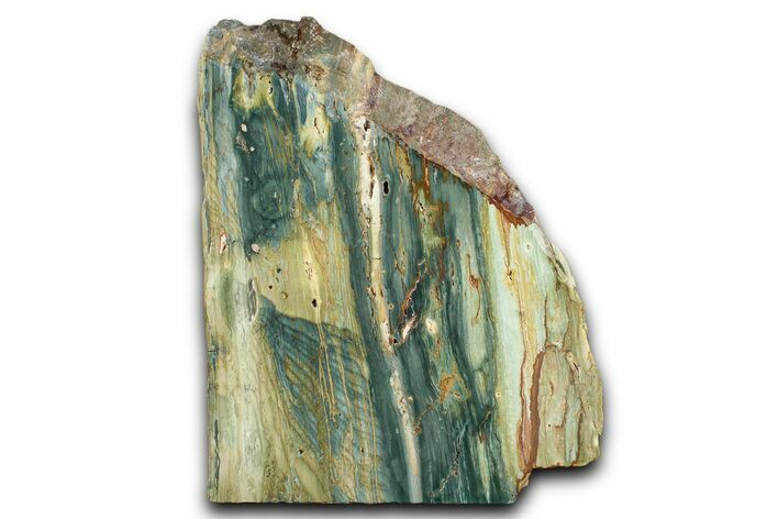 Free-Standing, Gary Green Jasper (Larsonite) Bog Wood - Oregon #334815
